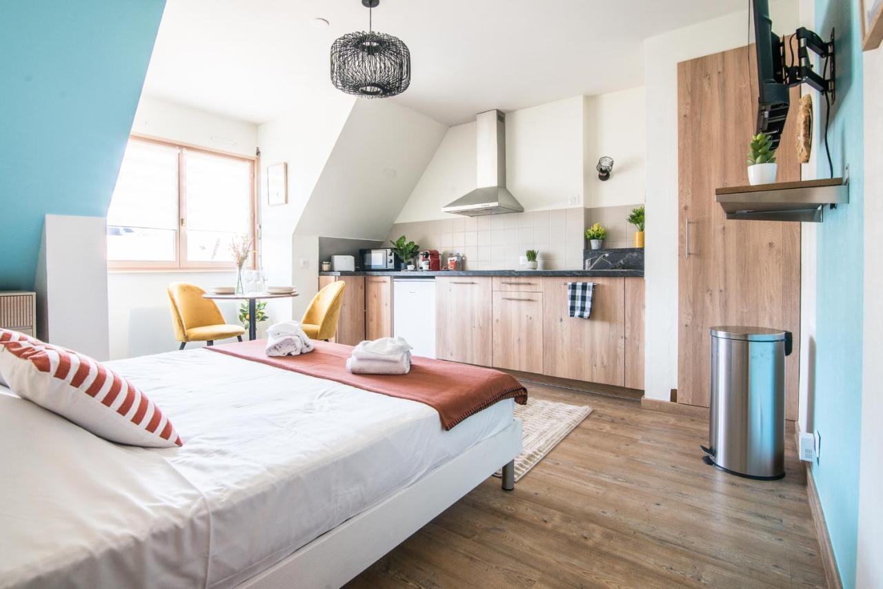 Lumineux - L'Oasis - Parking Prive Apartment Strasbourg Exterior foto